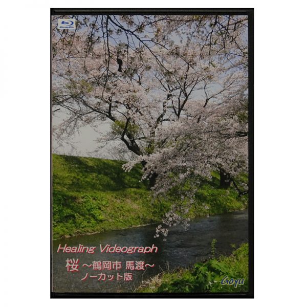 Healing Videograph 桜～鶴岡市馬渡～FIXノーカット版