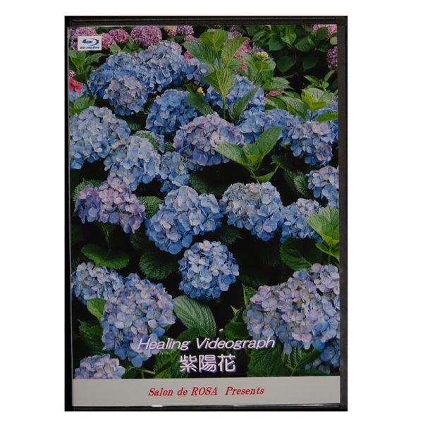Healing Videograph　 紫陽花